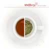 Skorocel bylinný čaj 50 g Wolfberry
