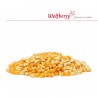 Kukurica na popcorn BIO 250 g Wolfberry