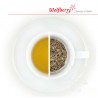 Medovka vňať bylinkový čaj Wolfberry 50 g