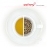 Medovka vňať bylinkový čaj Wolfberry 50 g