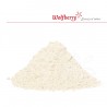Xantanová guma 100 g Wolfberry