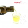 Zázvorový olej BIO 100 ml Wolfberry