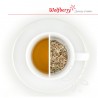 Vŕbovka vňať bylinkový čaj Wolfberry 50 g