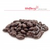 Goji v horkej čokoláde BIO 100 g Wolfberry